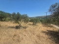 ΣΚΑΛΑΝΙ - 4