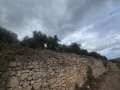 SPILIA - 3