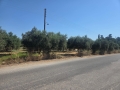 ARKALOCHORI - 2