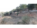 ΡΟΓΔΙΑ - 2