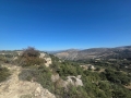 AGIOS THOMAS - 5