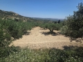 KALLONI - 3